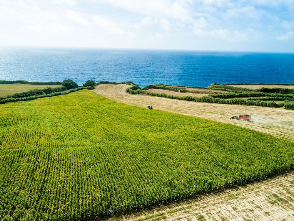 SENSI Azores, Nature and SPA