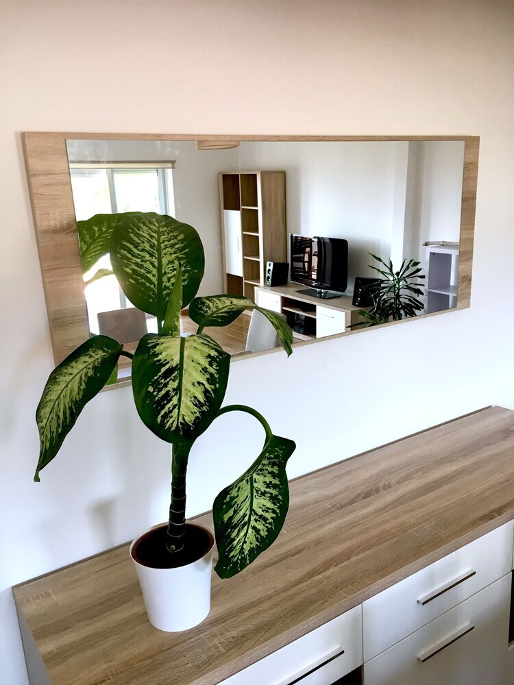 Casa do �