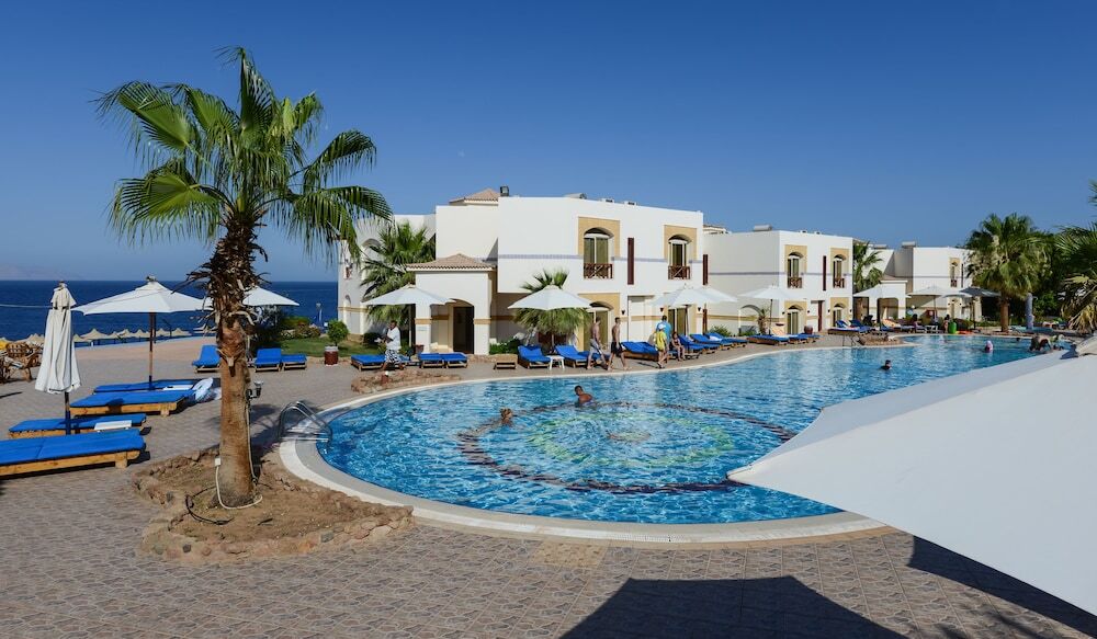 Amphoras Blu