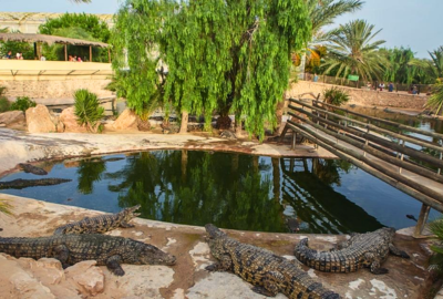 Djerba