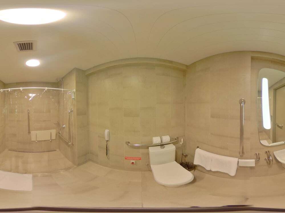Ibis Natal 