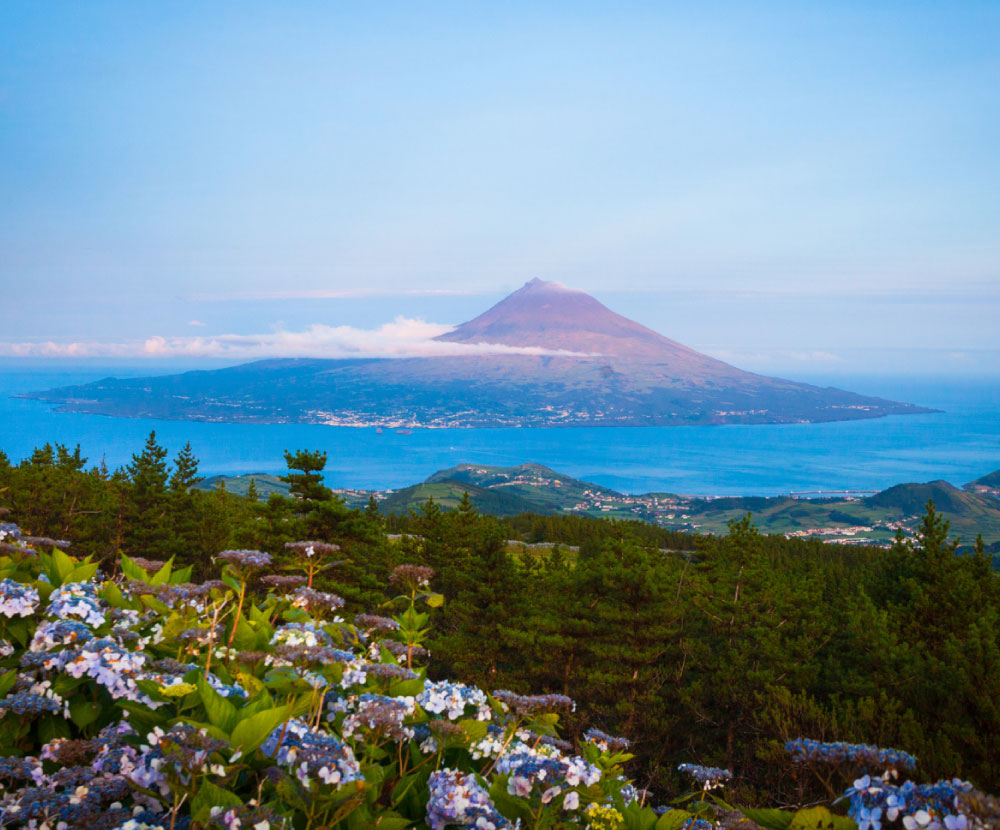 Azores Discovery