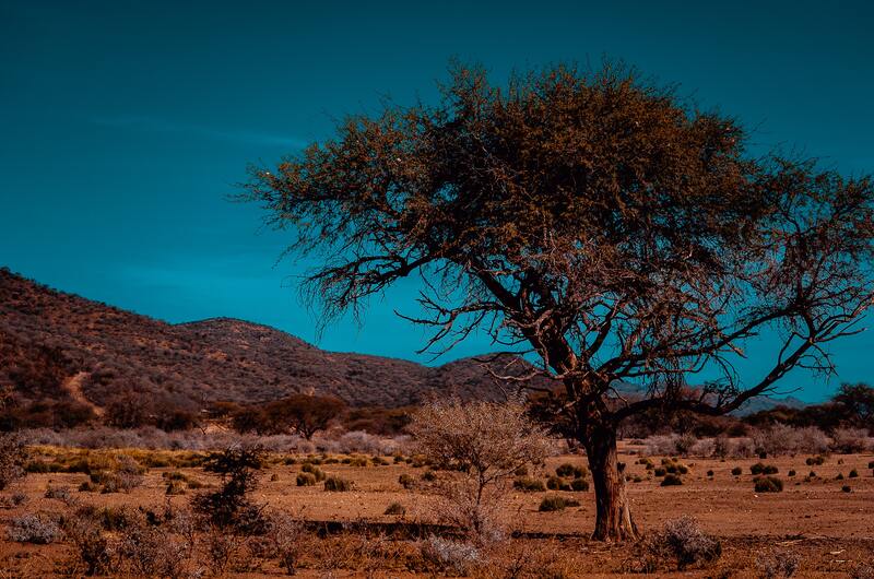 Foto de Deserto da Namíbia