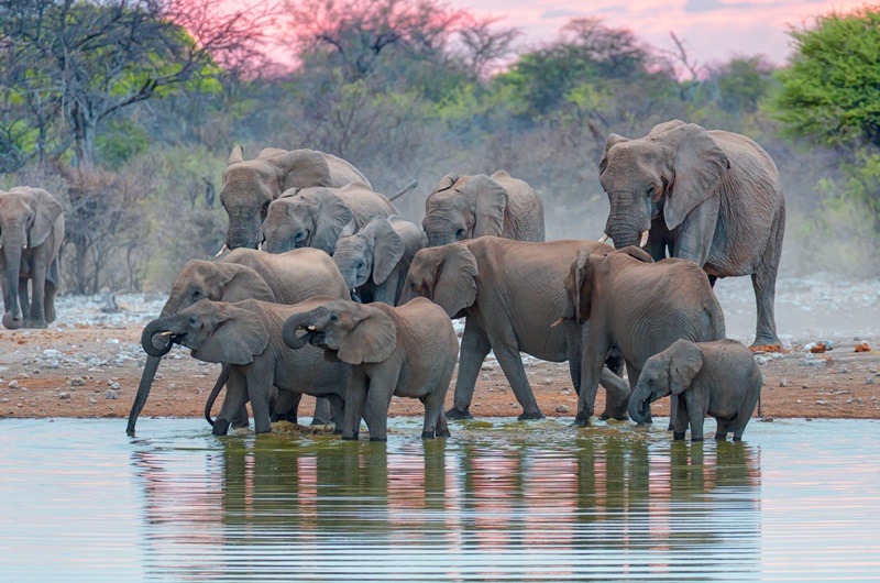 https://viagemonline.pt.tui.com/pt/idea/29733935/maravilhas-da-tanzania-com-melia 