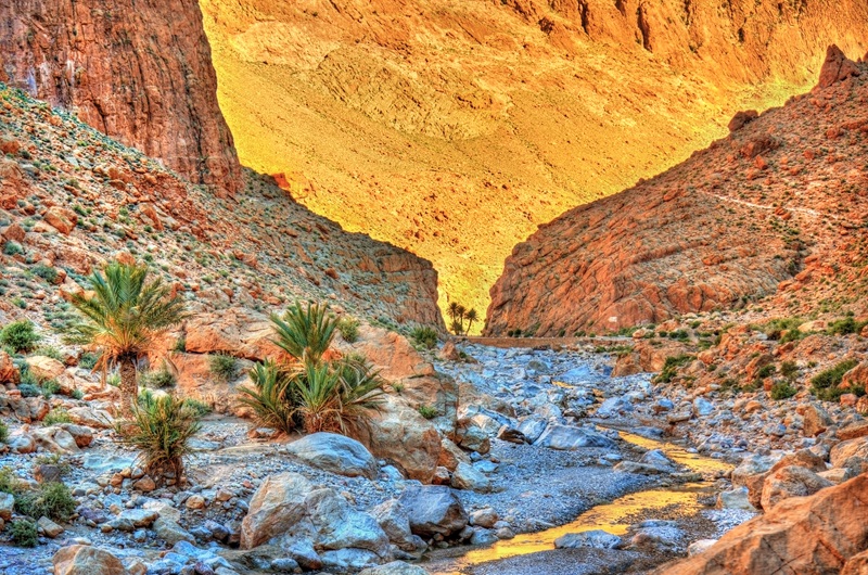 https://viagemonline.pt.tui.com/pt/idea/27852236/sul-de-marrocos-em-4x4 