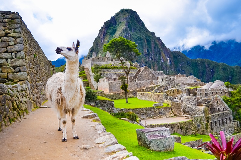 https://viagemonline.pt.tui.com/pt/idea/52366010/grande-peru-exclusivo-tui 