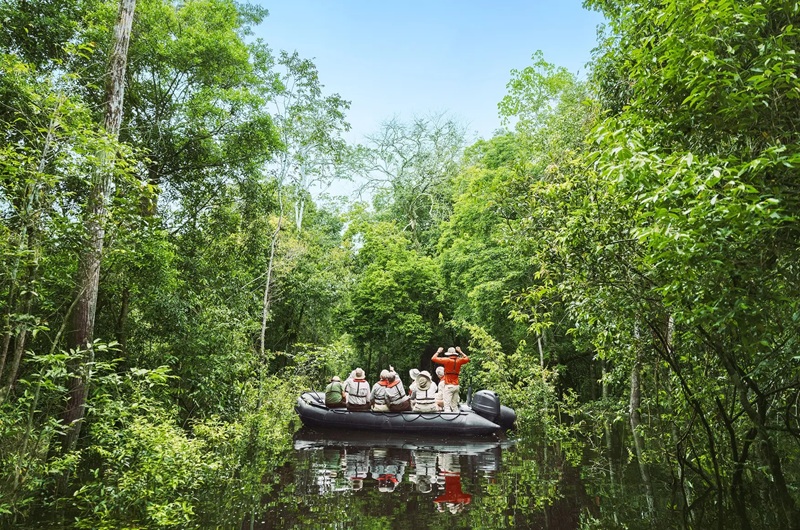 https://viagemonline.pt.tui.com/pt/idea/52565259/expedicao-amazonas-viagem-ao-coracao-verde 