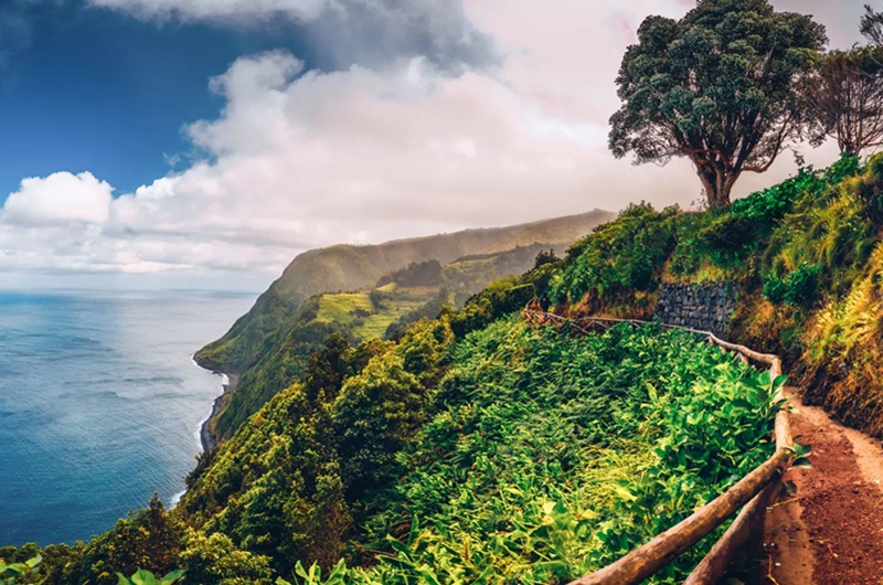 https://viagemonline.pt.tui.com/pt/idea/52565814/expedicao-acores-ilhas-virgens-do-atlantico 