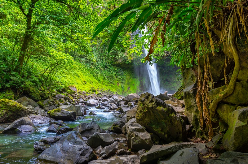 https://pt.tui.com/single_product.php?pkt_id=7464&Produto=Costa Rica Essencial com Guanacaste&destino=COSTA RICA  
