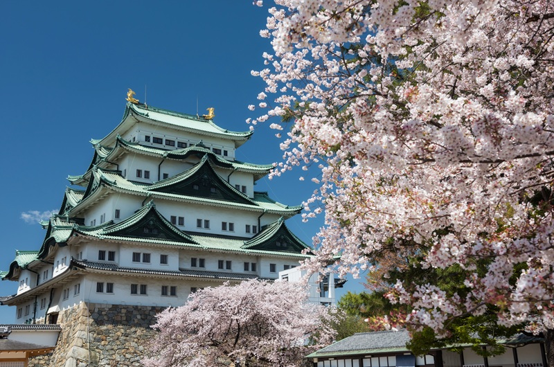 https://pt.tui.com/single_product.php?pkt_id=7463&Produto=Lendas do Japão&destino=JAPÃO 
