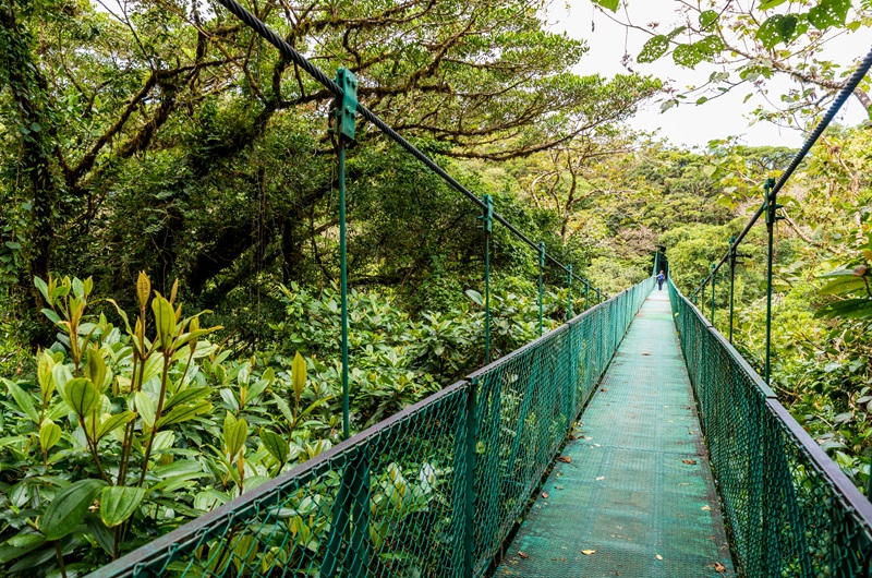 https://pt.tui.com/single_product.php?pkt_id=7473&Produto=Descobre a Costa Rica com Guanacaste&destino=COSTA RICA  