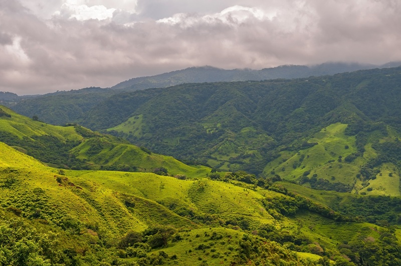 https://pt.tui.com/single_product.php?pkt_id=7484&Produto=Parques e Praias com Manuel Antonio&destino=COSTA RICA  