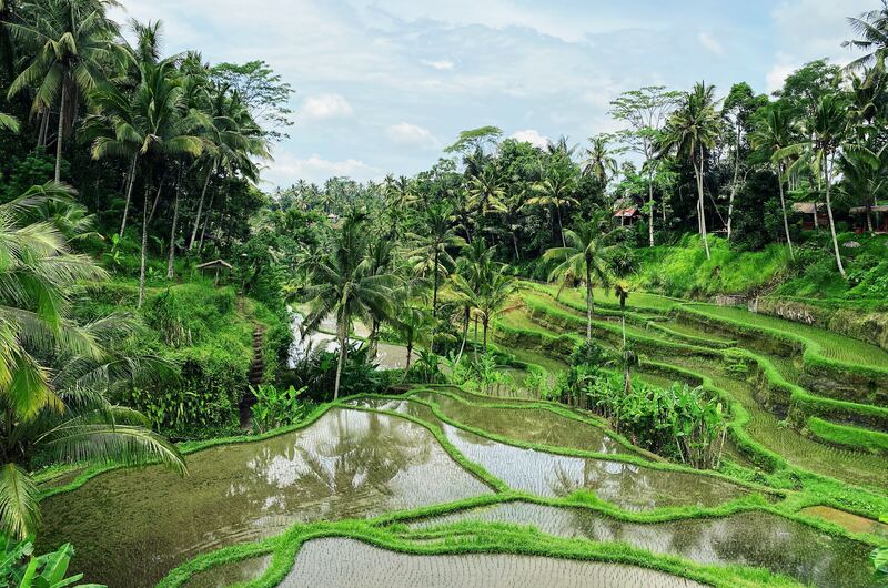 https://pt.tui.com/single_product.php?pkt_id=7498&Produto=Bali Essencial&destino=INDONÉSIA 