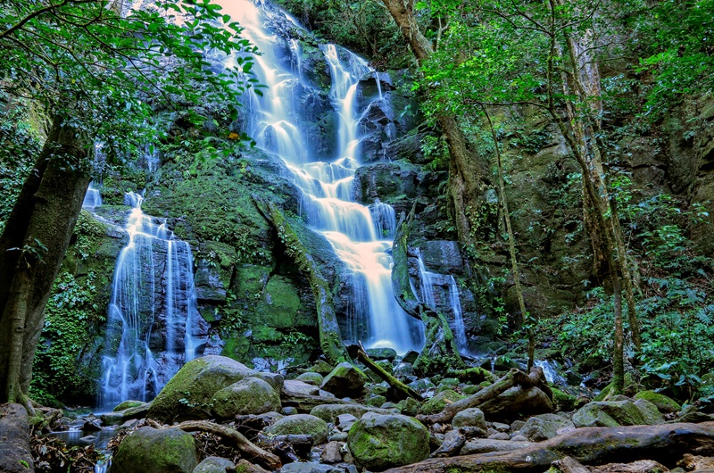 https://viagemonline.pt.tui.com/pt/idea/53034798/grande-tour-da-costa-rica-c-manuel-antonio-fly-drive 