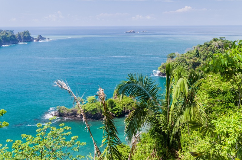 https://viagemonline.pt.tui.com/pt/idea/53044563/parques-nacionais-da-costa-rica-c-manuel-antonio-fly-drive 