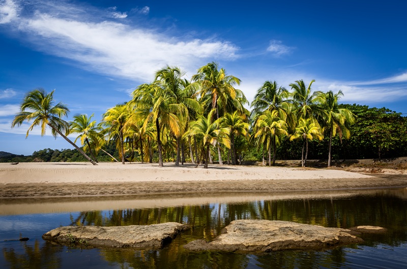 https://viagemonline.pt.tui.com/pt/idea/53044704/parques-nacionais-da-costa-rica-c-guanacaste 