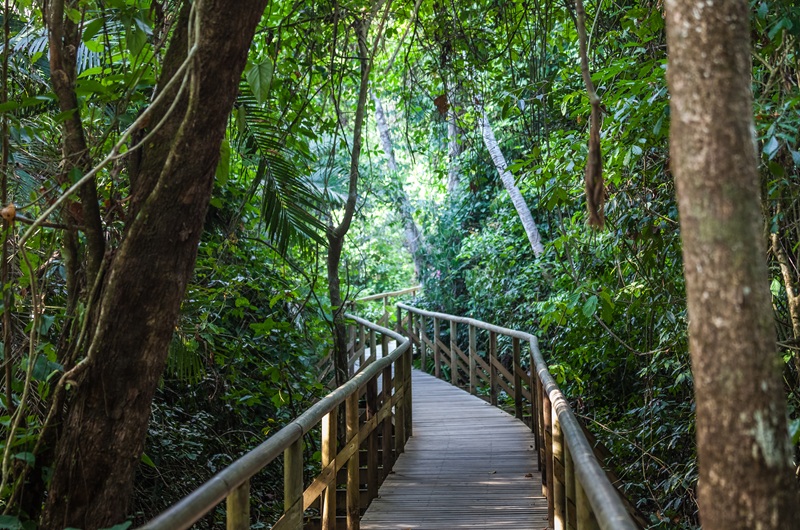 https://viagemonline.pt.tui.com/pt/idea/53056108/contrastes-da-costa-rica-c-guanacaste-fly-drive 