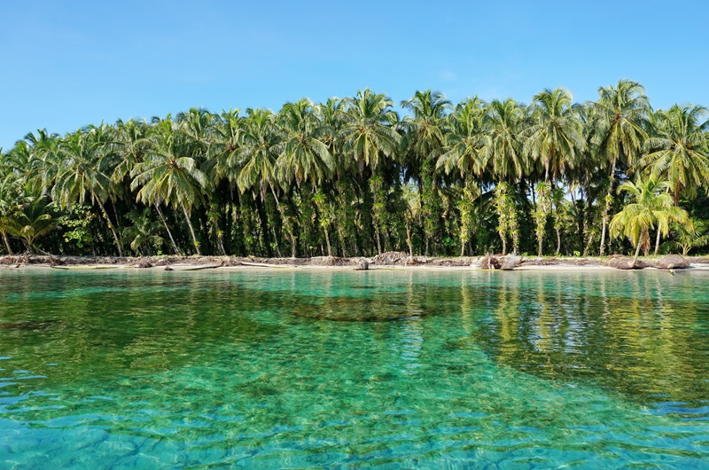 https://viagemonline.pt.tui.com/pt/idea/53504023/caribe-panamenho-guna-yala-e-bocas-del-toro?tripId=20 