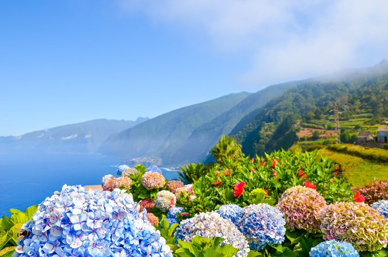 https://viagemonline.pt.tui.com/pt/idea/55072937/madeira-multicor 