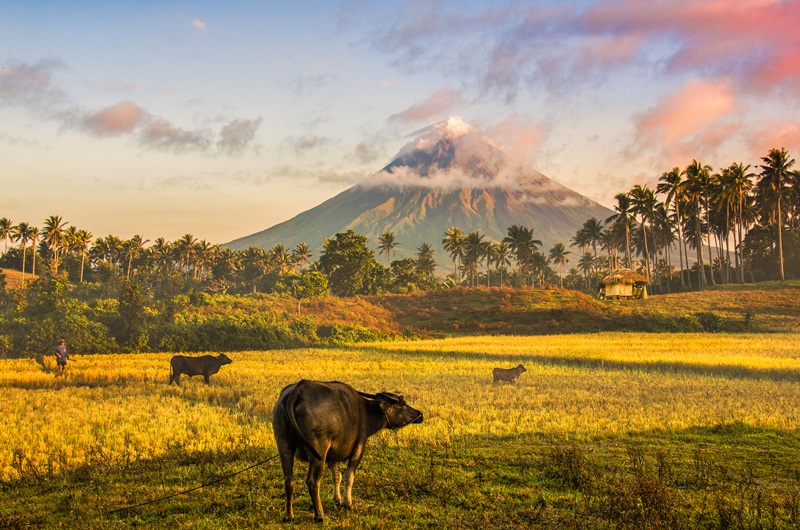 https://pt.tui.com/single_product.php?pkt_id=7786&Produto=Encantos das Filipinas&destino=FILIPINAS 