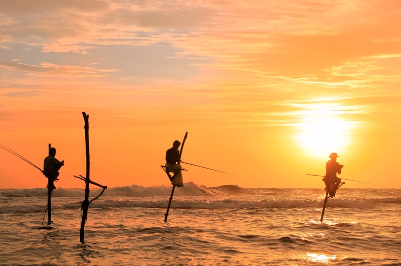 https://pt.tui.com/single_product.php?pkt_id=7916&Produto=Sri Lanka Fascinante&destino=SRI LANKA 
