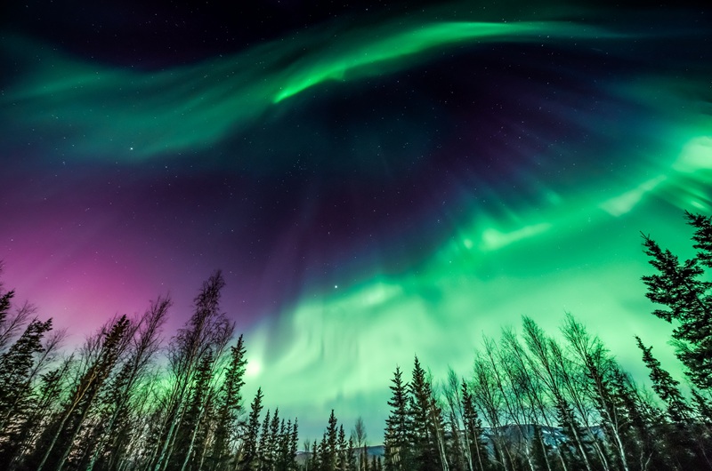 https://pt.tui.com/single_product.php?pkt_id=8129&Produto=Auroras Boreais no Alasca&destino=E.U.A 