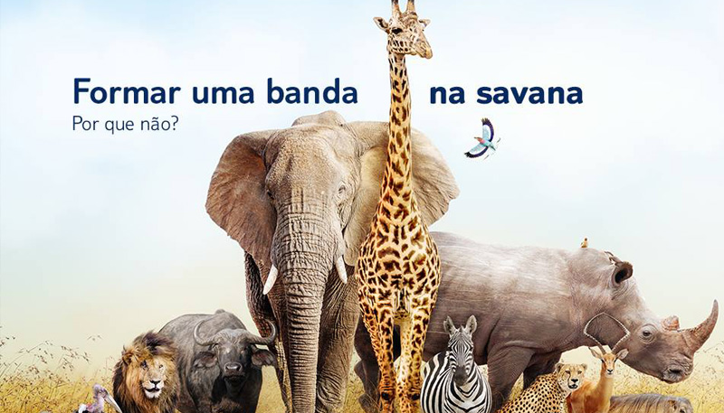TUI PORTUGAL - Conheça o Quénia e a Tanzânia através de  Safari