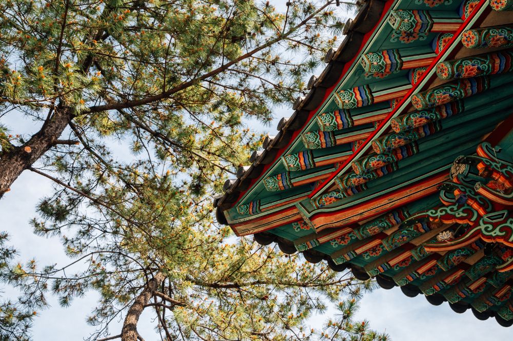  Caminhos e Encantos da Coreia do Sul