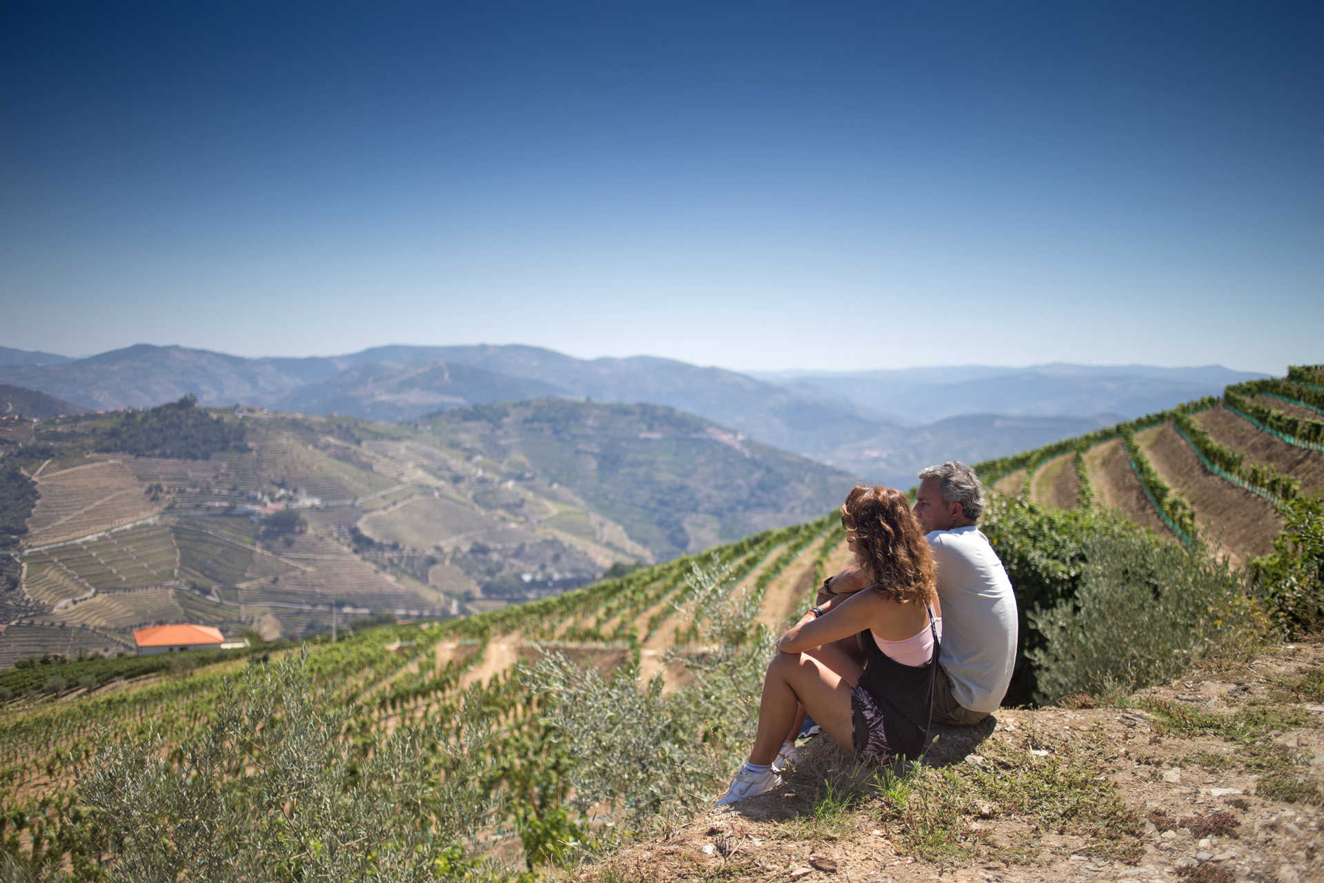 Douro Wine Region Wine and Food Lovers