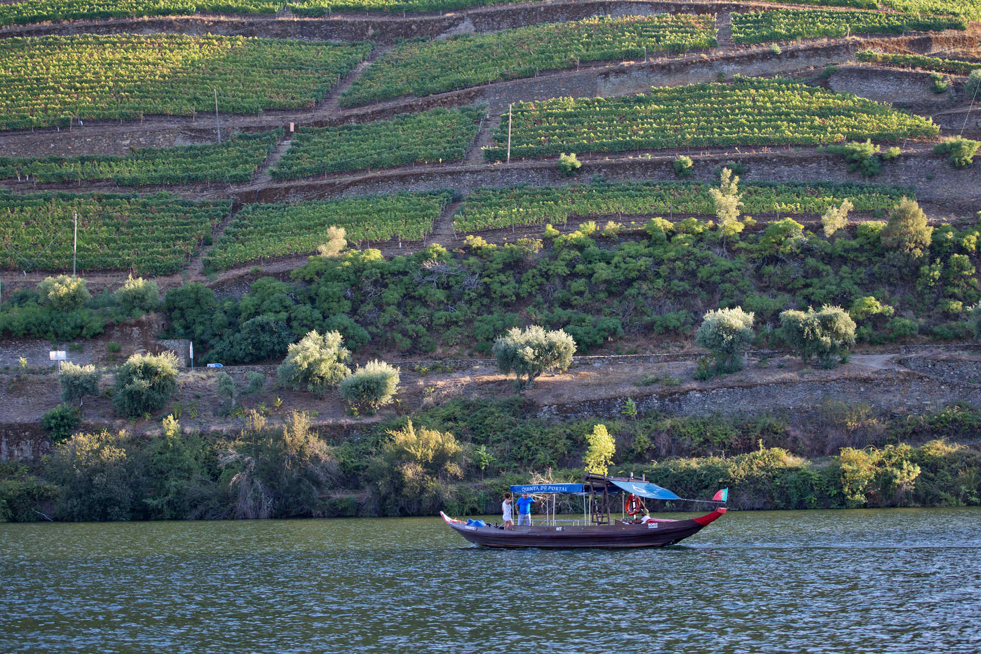 Douro Wine Region Wine and Food Lovers
